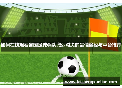 如何在线观看各国足球强队激烈对决的最佳途径与平台推荐