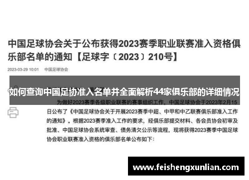 如何查询中国足协准入名单并全面解析44家俱乐部的详细情况