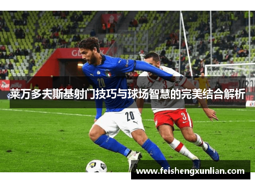 莱万多夫斯基射门技巧与球场智慧的完美结合解析 莱万多夫斯基射门技巧与球场智慧的完美结合解析
