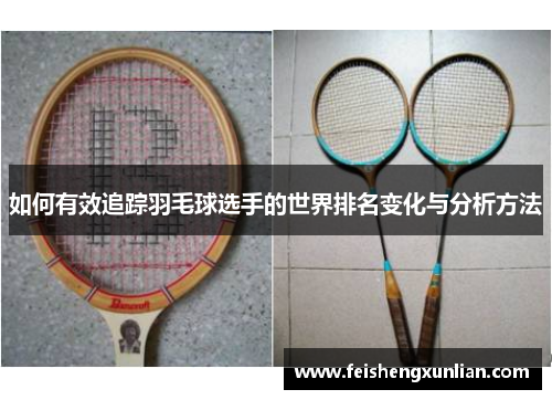 如何有效追踪羽毛球选手的世界排名变化与分析方法