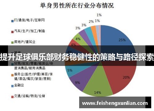 提升足球俱乐部财务稳健性的策略与路径探索