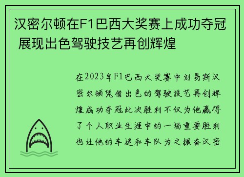 汉密尔顿在F1巴西大奖赛上成功夺冠 展现出色驾驶技艺再创辉煌